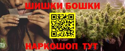 гашик Новозыбков