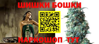 гашик Новозыбков