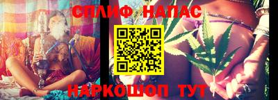 гашик Новозыбков