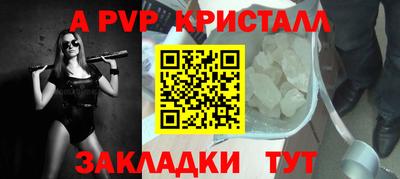 гашик Новозыбков